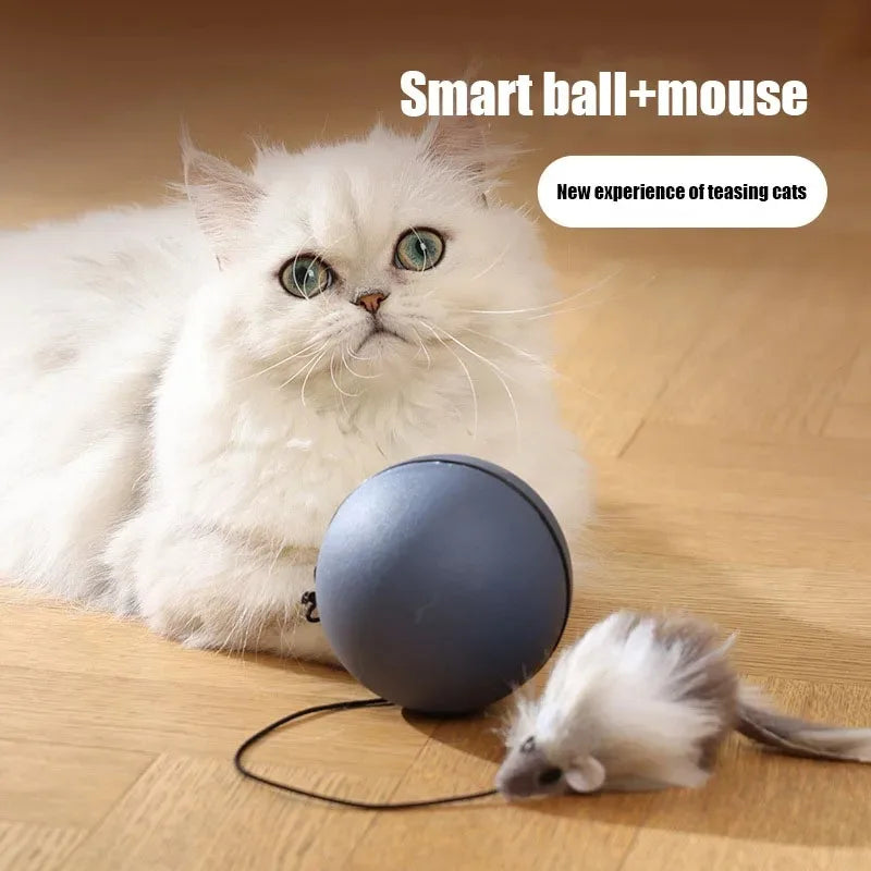 White cat next to the automatic rolling ball with a plush mouse on a cord