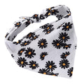 White Daisy