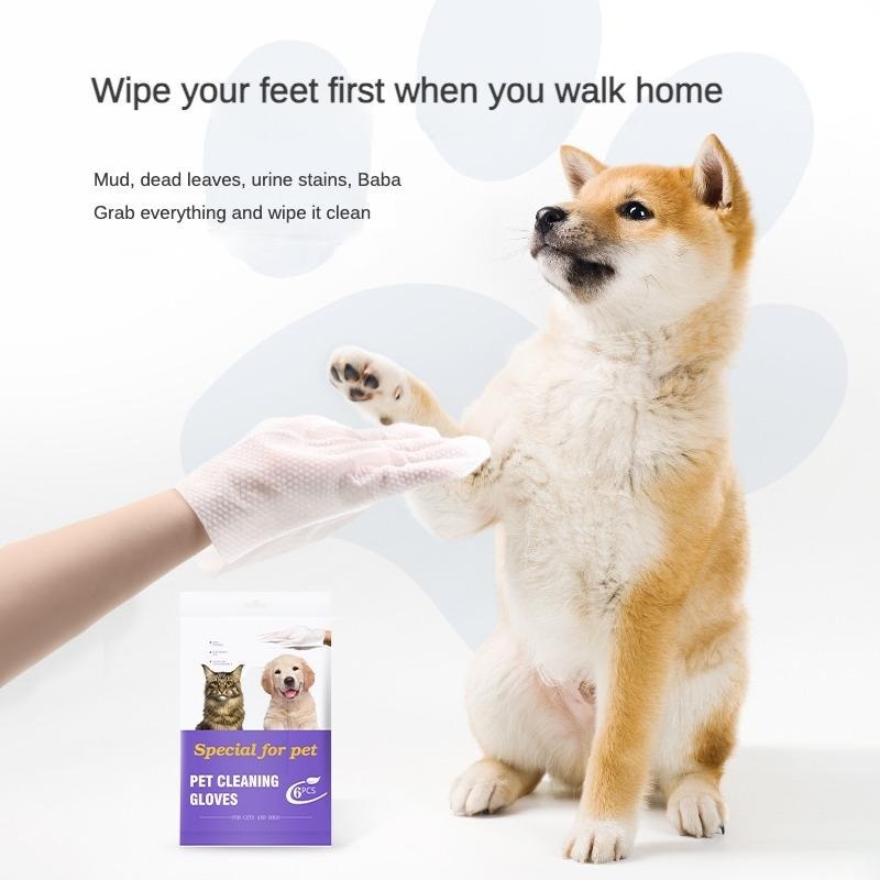 Fragrance-free dog wipes for daily paw and coat cleaning