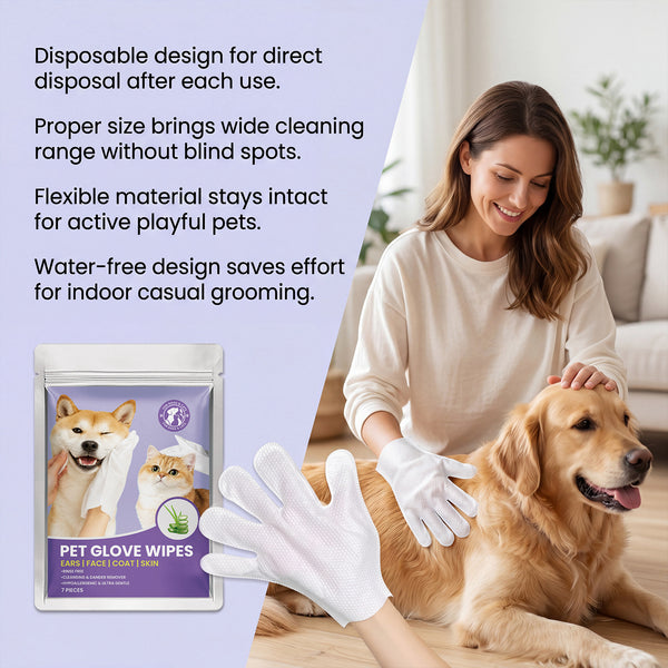 A glove wipe on a hand, wiping a golden retriever’s coat