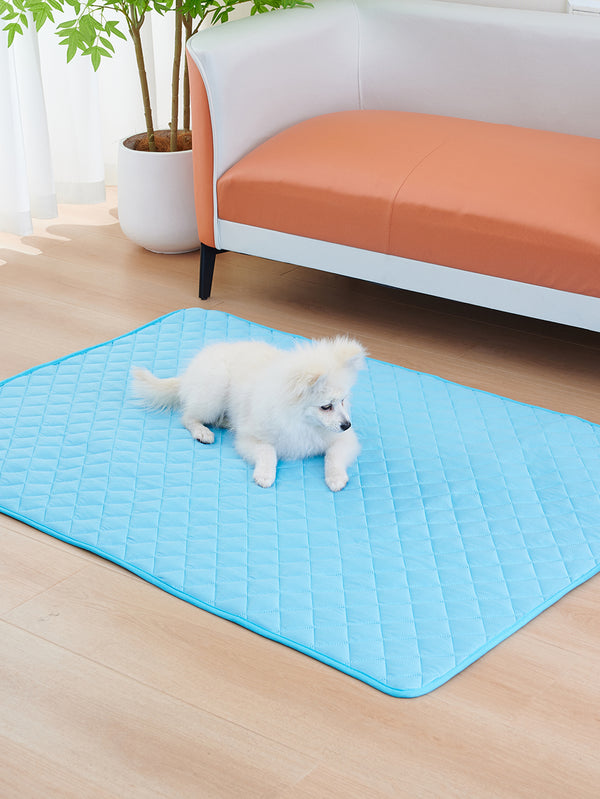 Small white dog lying on the blue quilted cooling mat