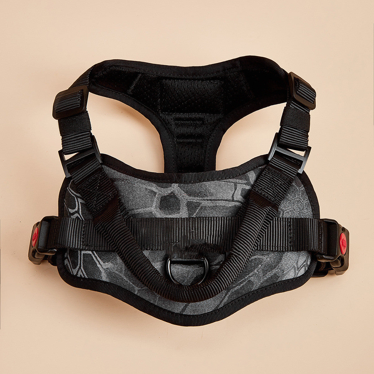 Dog wearing no-pull reflective harness — 4-point adjustable fit for all body shapes