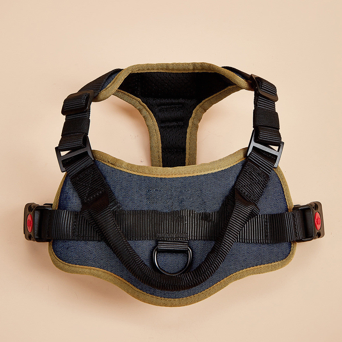 Reflective stitching on adjustable dog harness — 360° visibility for night and low-light walks