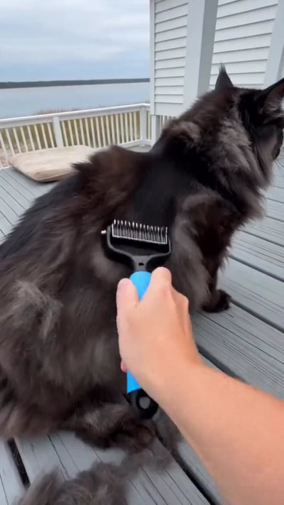 Grooming comb deshedding demo