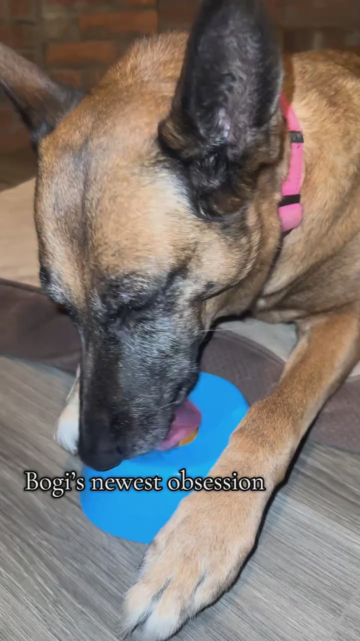 No Spill Liquid Treat Bowl