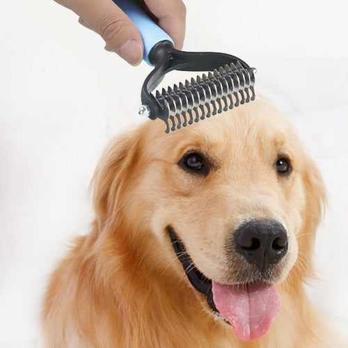 Dematting comb drawn through a golden retriever's coat