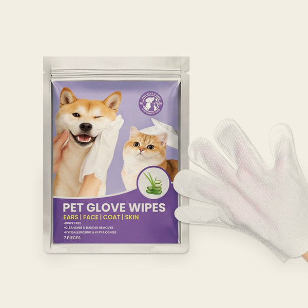 Pouch of 7 pet glove wipes with one glove wipe beside it